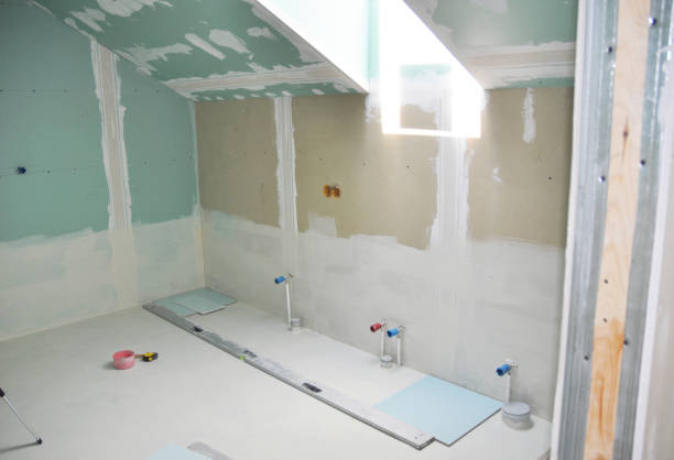 Best Forensic Mold Investigation  in Estes Park, CO