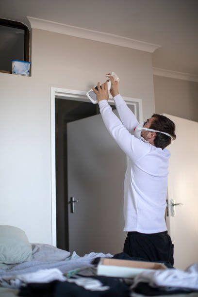 Trusted Estes Park, CO Mold Removal Experts