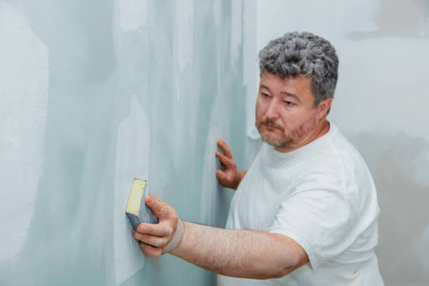 Best Industrial Mold Remediation  in Estes Park, CO