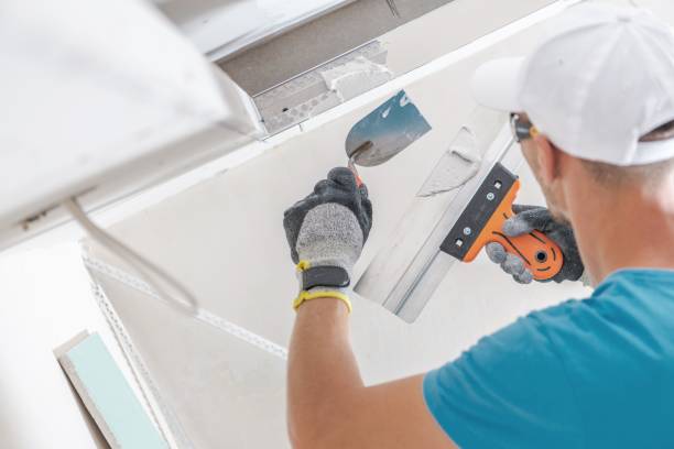 Best Post-Construction Mold Inspection  in Estes Park, CO